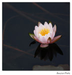 img5d1_6782