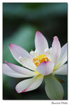 img5d1_6879