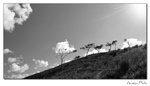 img10a_3520
