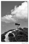 img10a_3552
