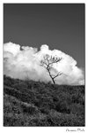 img10a_3555