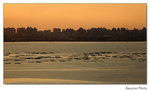 img5d1_6049