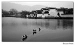 img5d1_4049