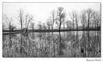 img5d1_4082