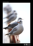 img5d2_0645