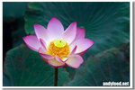 CRW_3930