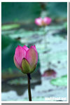 CRW_3942
