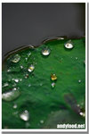 CRW_3965