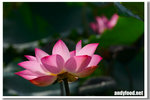 CRW_3979