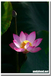 CRW_3989