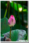 CRW_3990