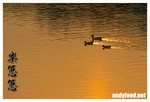CRW_7360-1