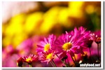 CRW_2072