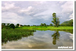 CRW_4045