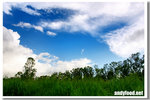 CRW_4055