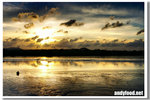 CRW_4101