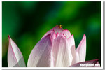 CRW_4250