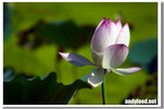 CRW_4252