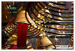 CRW_4484