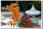 CRW_1039