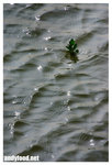 CRW_6551