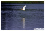 CRW_6582