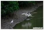 CRW_8109