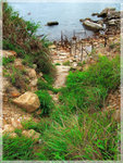 20050516_008