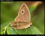 P9121235