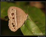 P9121267