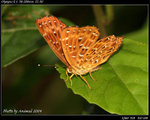 P9121273
