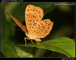 P9121277