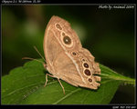 P9121296