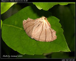 P9121306