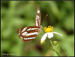 P9121418