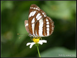 P9121429