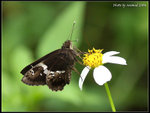 P9121433