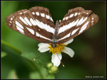 P9121446