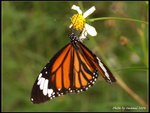 P9121509