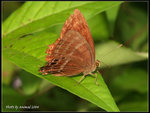 P9121514