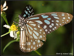P9121533