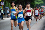 ROM_4088