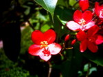 PICT0021