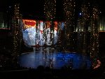 IMG_6517