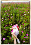 Untitled-107 �ƻs