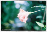 Untitled-83 �ƻs
