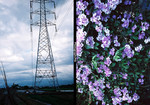 Untitled-2 �ƻs