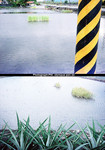 Untitled-3 �ƻs