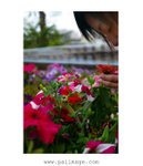 Untitled-7 copy