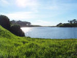 Lake at UCSB